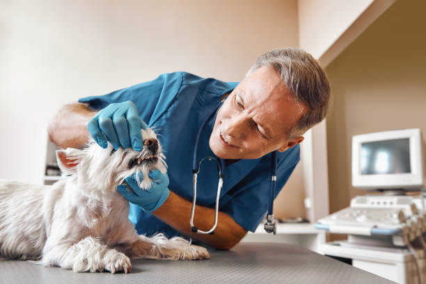 Best Emergency Tooth Extraction in Clovis, NM